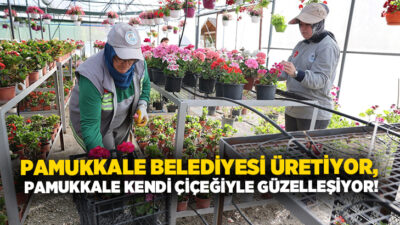T.C. Pamukkale Belediyesi, ilçenin estetik kimliğini güçlendirmek ve yeşil alan