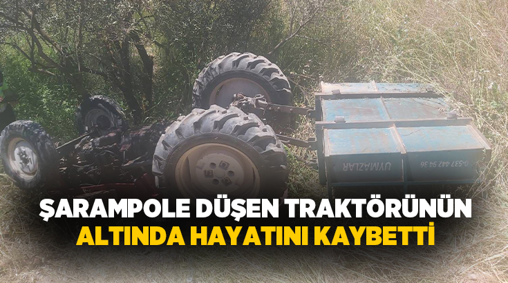 Manisa’nın Yunusemre ilçesinde kontrolden çıkarak zeytinliğe devrilen traktörün sürücüsü hayatını