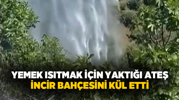 Aydın'ın Nazilli ilçesinde yemek ısıtmak amacıyla yakılan ateşin rüzgarın etkisiyle
