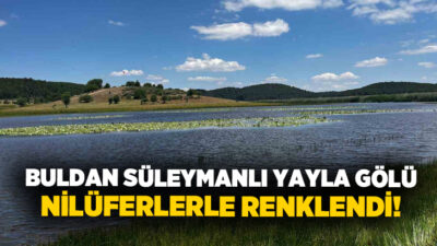 Buldan Süleymanlı mahallesinde bulunan Yayla Gölünde açan nilüferler, gölün güzelliklerine