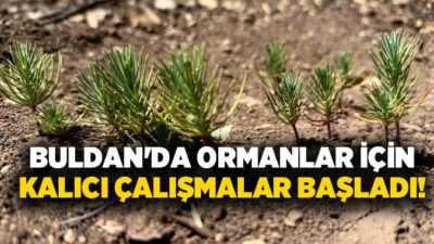 2025 yılında yaşanan orman yangınlarının ardından Buldan Orman İşletme Müdürlüğü,