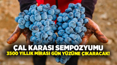 Denizli Büyükşehir Belediyesi’nin katkılarıyla 20 Haziran’da gerçekleştirilecek Çal Karası Sempozyumu,