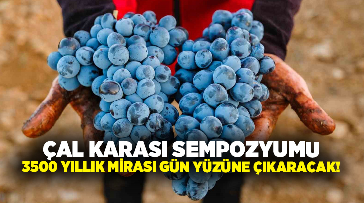 Denizli Büyükşehir Belediyesi’nin katkılarıyla 20 Haziran’da gerçekleştirilecek Çal Karası Sempozyumu,