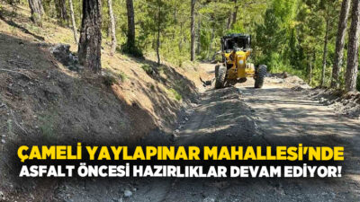 Çameli Belediyesi Fen İşleri Müdürlüğü ekipleri, ilçe genelinde ulaşım altyapısını