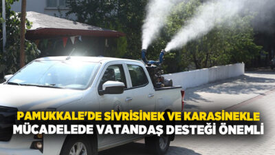 T.C. Pamukkale Belediyesi sivrisinek ve karasinek mücadelesinde öncü belediyeler arasında