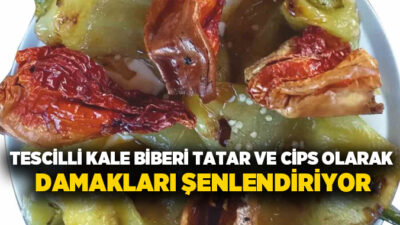 Denizli’nin coğrafi işaret tescilli Kale Biberi, yöreye özgü biber tatarı