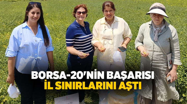 Denizli Ticaret Borsası tarafından geliştirilen Borsa-20 nohut çeşidi, yalnızca Denizli'de