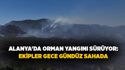 Antalya'nın Alanya ilçesinde Sapadere Mahallesi'nde başlayan ve şiddetli rüzgarın etkisiyle