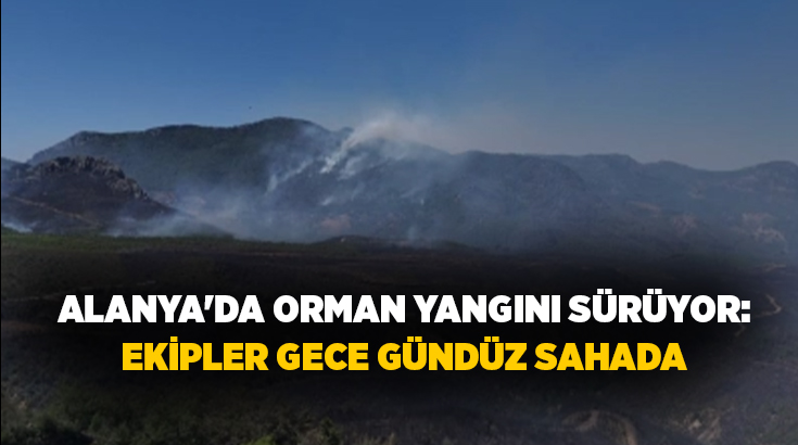 Antalya'nın Alanya ilçesinde Sapadere Mahallesi'nde başlayan ve şiddetli rüzgarın etkisiyle