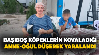 Adıyaman’ın Gölbaşı ilçesinde köpeklerin saldırısına uğrayan anne ve oğlu kovalamaca