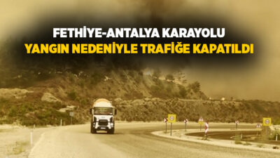 Muğla’nın Seydikemer ilçesinde çıkan orman yangını söndürme çalışmaları havadan ve
