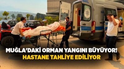 Tarım ve Orman Bakanlığı; "Muğla Seydikemer'de orman dışı alanda başlayıp