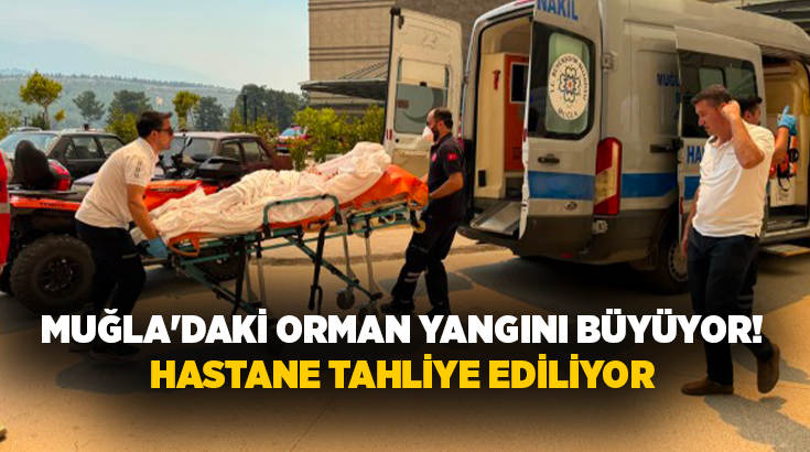 Tarım ve Orman Bakanlığı; "Muğla Seydikemer'de orman dışı alanda başlayıp