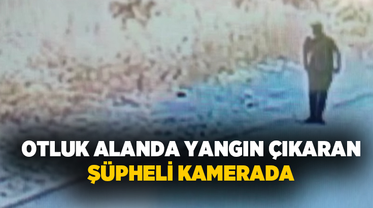Ankara’nın Yenimahalle ilçesinde çıkan ve akaryakıt istasyonunun yakınına kadar ulaşan