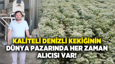 Türkiye’nin kekik üretimindeki lider şehirlerinden biri olan Denizli’de aylık 150