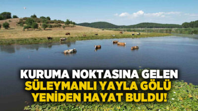 Denizli’de geçtiğimiz yıllarda yaşanan kuraklık nedeniyle kuruma tehlikesi geçiren Süleymanlı