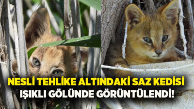 Denizli’nin Çivril ilçesinde yer alan ve doğal güzellikleriyle bilinen Işıklı