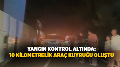  Muğla'nın Köyceğiz ilçesinde yakıt tankerinde çıkan ve ormanlık alana sıçrayan