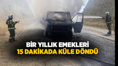 Denizli'nin Sarayköy ilçesinde seyir halindeki kamyonette çıkan yangında araç ve