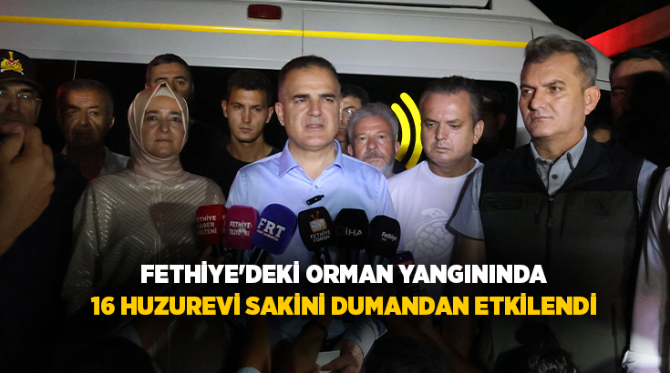 Muğla'nın Fethiye ilçesi Karagedik Mahallesi yakınlarındaki ormanlık alanda başlayan yangın,