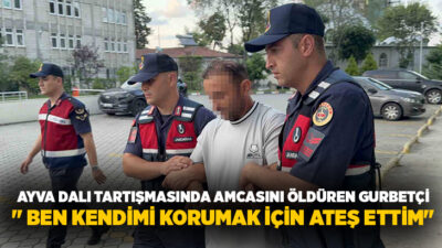 Samsun’un Tekkeköy ilçesinde kesilen ayva ağacının dalı yüzünden çıkan tartışmada