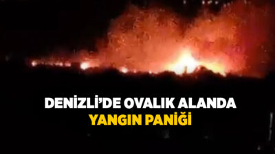 Denizli’nin Sarayköy ilçesinde ovalık alanda çıkan yangın, rüzgarın etkisiyle kısa