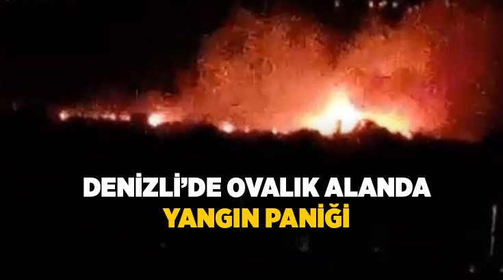 Denizli’nin Sarayköy ilçesinde ovalık alanda çıkan yangın, rüzgarın etkisiyle kısa