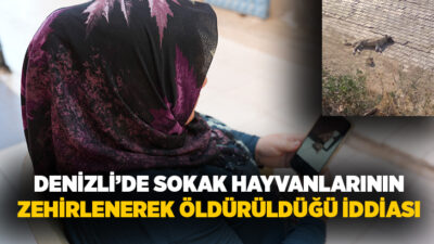 Denizli’nin Sarayköy ilçesinde kimliği belirsiz kişi ya da kişilerin zehirli