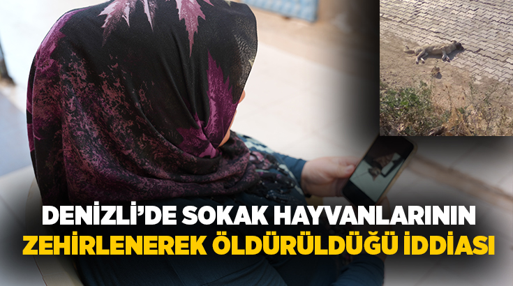 Denizli’nin Sarayköy ilçesinde kimliği belirsiz kişi ya da kişilerin zehirli