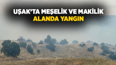  Uşak’ta makilik alanda başlayan ve meşelik alana sıçrayan yangına ekiplerin