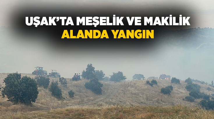  Uşak’ta makilik alanda başlayan ve meşelik alana sıçrayan yangına ekiplerin