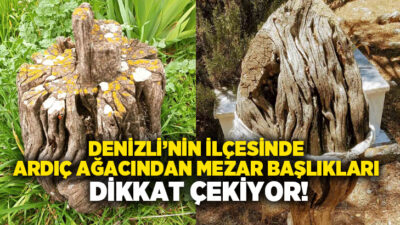 Denizli’nin Acıpayam ilçesine bağlı Dodurga Mahallesi mezarlığında bulunan ve ardıç