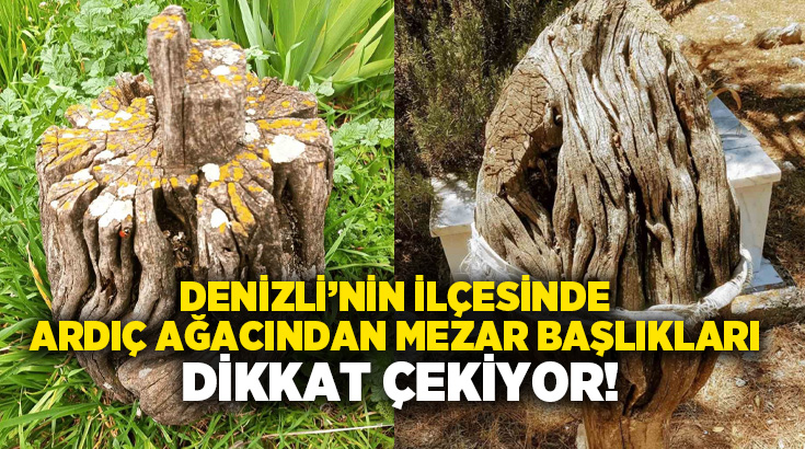 Denizli’nin Acıpayam ilçesine bağlı Dodurga Mahallesi mezarlığında bulunan ve ardıç