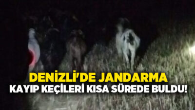 Denizli’nin Çivril ilçesine bağlı İğdir Mahallesi’nde dere yatağında kaybolan keçiler,