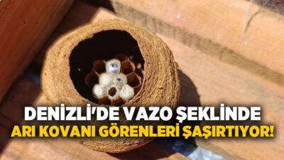 Buldan’da yaban arıları tarafından vazo şeklindeki yuva görenleri hayrete düşürdü.