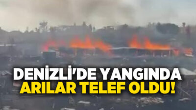 Denizli’nin Tavas ilçesinde çıkan yangında çok sayıda arı kovanı yanarken,