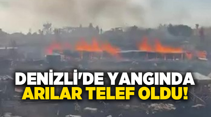 Denizli’nin Tavas ilçesinde çıkan yangında çok sayıda arı kovanı yanarken,