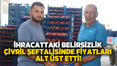 Denizli'nin Çivril ilçesinde hasadı süren şeftaliler ağırlıklı olarak Rusya'ya ihraç