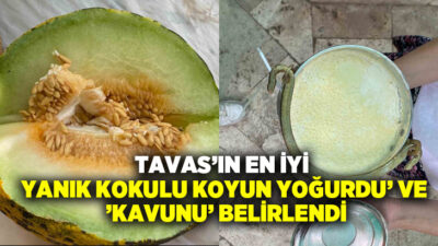Tavas Belediyesi tarafından düzenlen Tavas Zeybek, Kültür ve Sanat Festivali