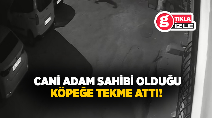 İzmir'in Konak ilçesinde bir şahsın, sahibi olduğu köpeğe tekme atıp
