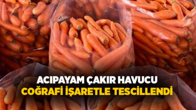 Denizli’nin Acıpayam ilçesine bağlı Çakır Mahallesi’nde yetiştirilen ve bölgenin önemli