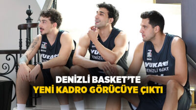 Y. Denizli Basket, Türkiye Sigorta Basketbol Süper Ligi ve kulüp