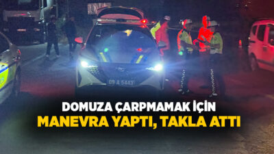 Aydın'ın Efeler ilçesinde seyir halindeyken bir anda önüne çıkan domuza