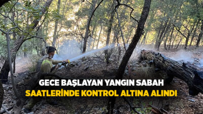 Muğla’nın Dalaman ilçesi Bozbel mevkisinde gece saatlerinde başlayan orman yangını,