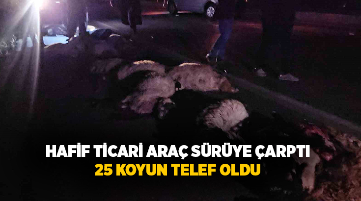 Bitlis’in Adilcevaz ilçesinde hafif ticari aracın sürüye çarpması sonucu yaklaşık