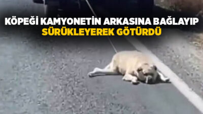 Şanlıurfa’da bir kamyonetin arkasına bağlanıp sürüklenen köpeğin o anları, yoldan