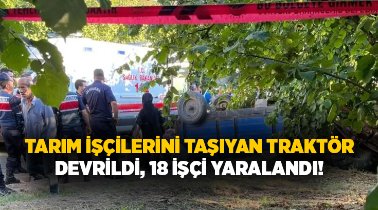 Sakarya'da fındık işçilerini taşıyan traktörün devrilmesi sonucu meydana gelen kazada