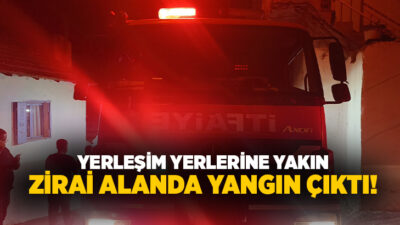 Aydın’ın Söke ilçesinde yerleşim yerlerine yakın noktada çıkan zirai alan