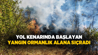 Manisa'nın Demirci ilçesinde yol kenarında başlayan ve ormanlık alana sıçrayan