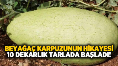 Denizli’nin Beyağaç ilçesinde bir dönem Türkiye’nin farklı illerine ve yurt